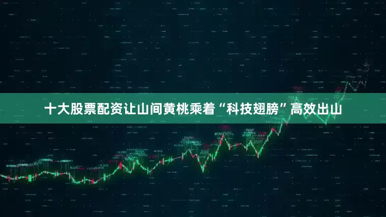 十大股票配资让山间黄桃乘着“科技翅膀”高效出山